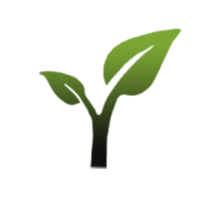 bayside garden tidy favicon logo
