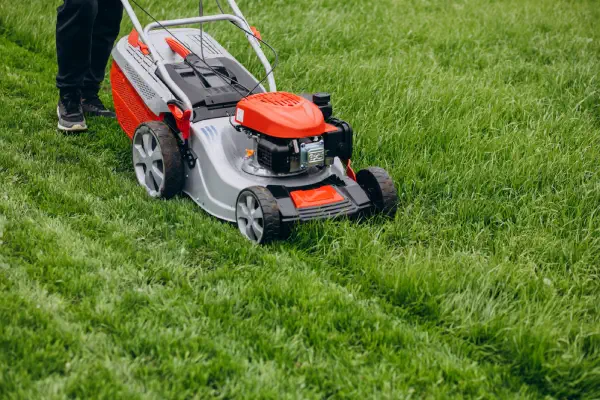 lawns