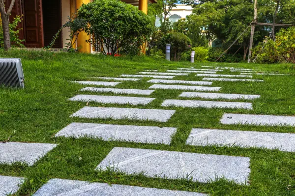 pathways